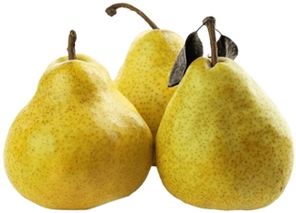 Armut Deveci (Kg)