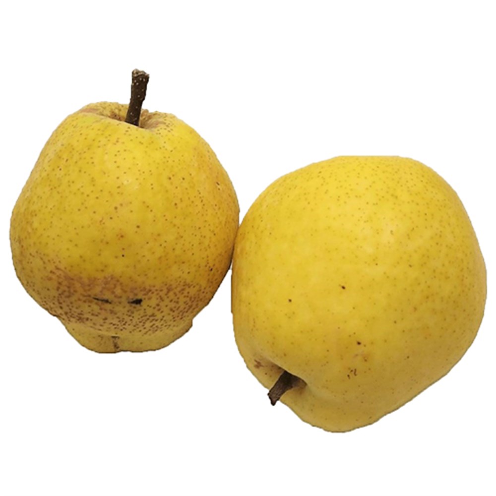 margarit-armut-kg-efee3d.jpg