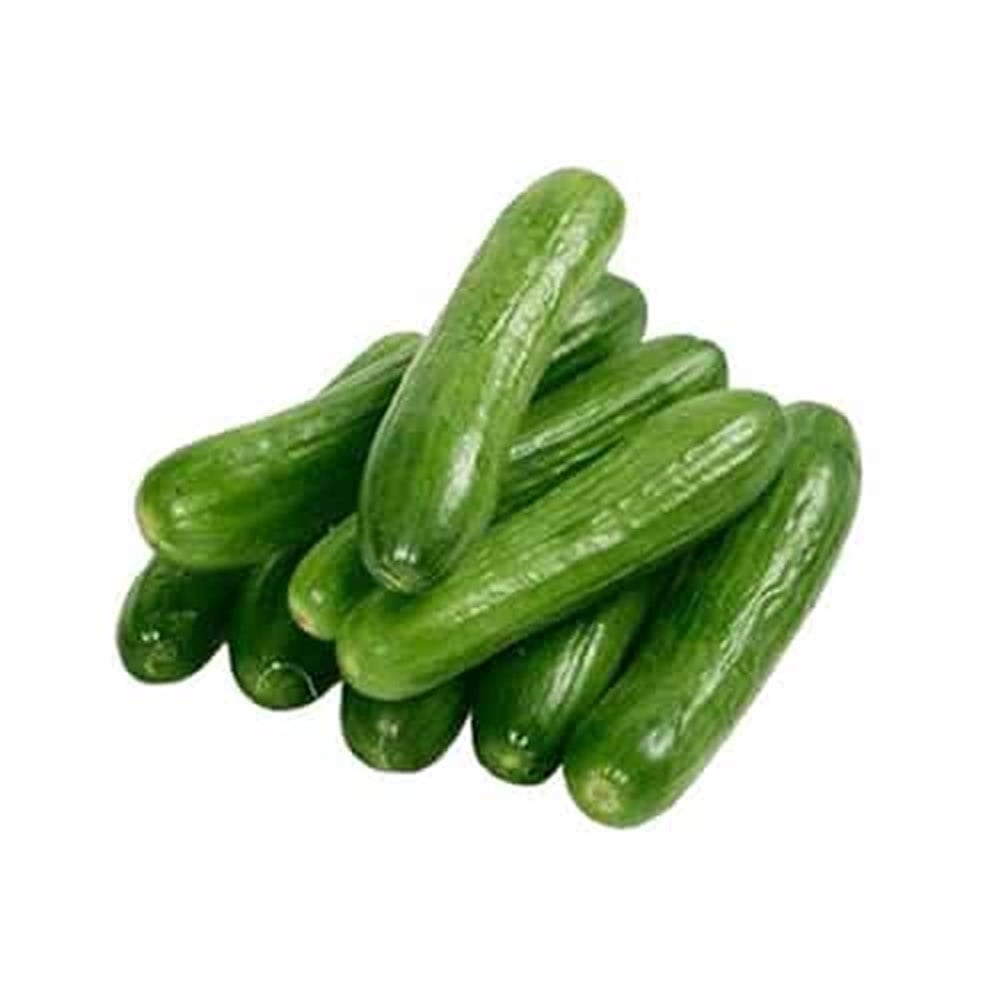 Salatalık Silor (kg)