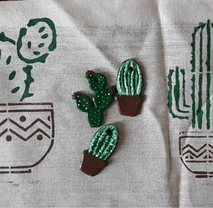 kaktus-set-c52-44.jpg