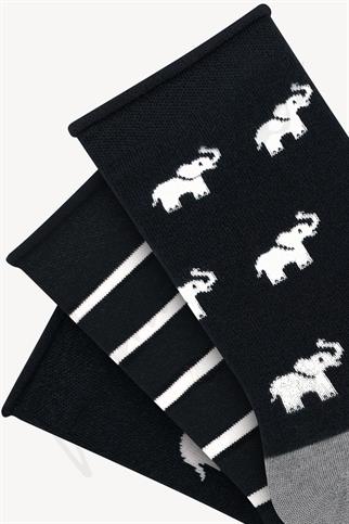 Mono Socks - 3lü Fil Desenli Lastiksiz Bambu Çorap