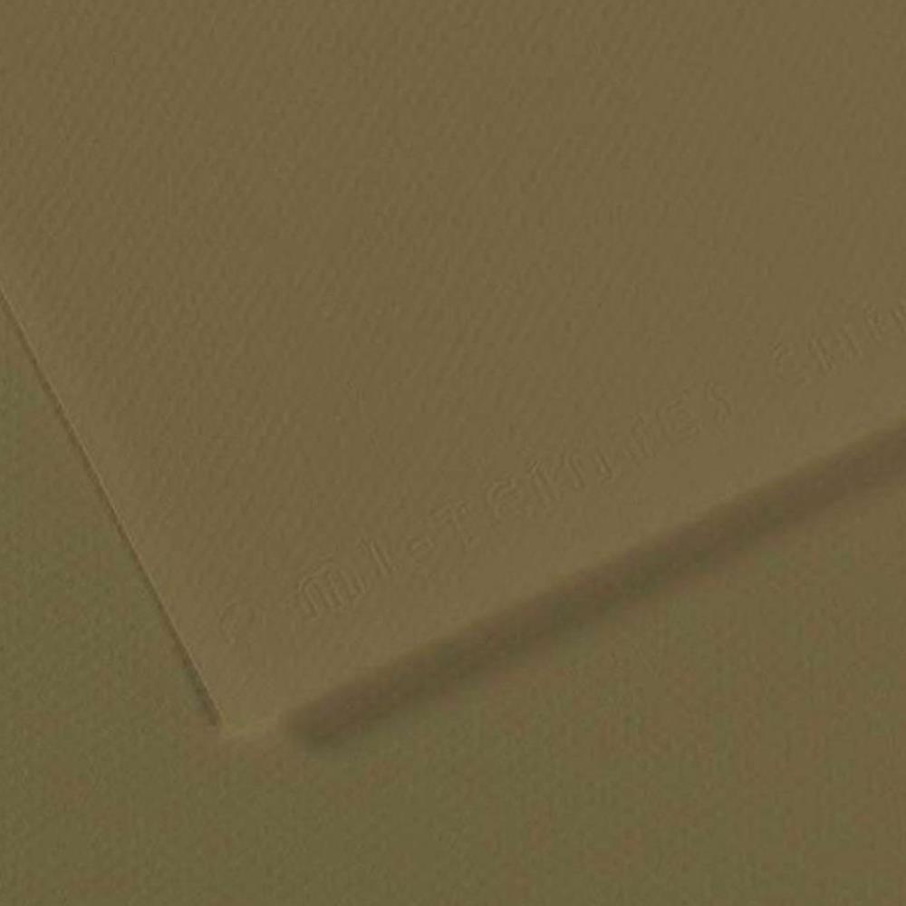 Canson Fon Kartonu (Dokulu) Mı-Teıntes Sh Canmt 50x65 160 GR Grn 191