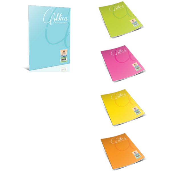 Gıpta Defter (Dikişli ) Mica Plastik Kapak Çizgili 80 YP A5 2054