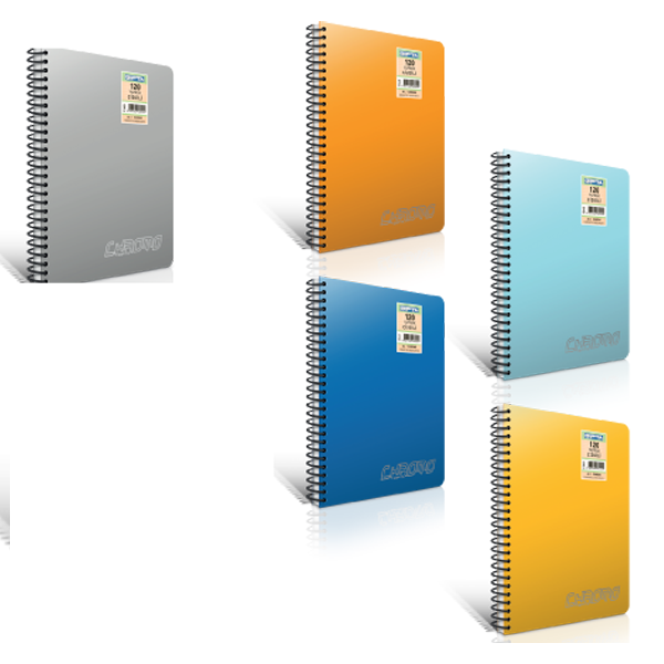 Gıpta Spiralli Defter Chromo Plastik Kapak Kareli 100 YP A4 1492