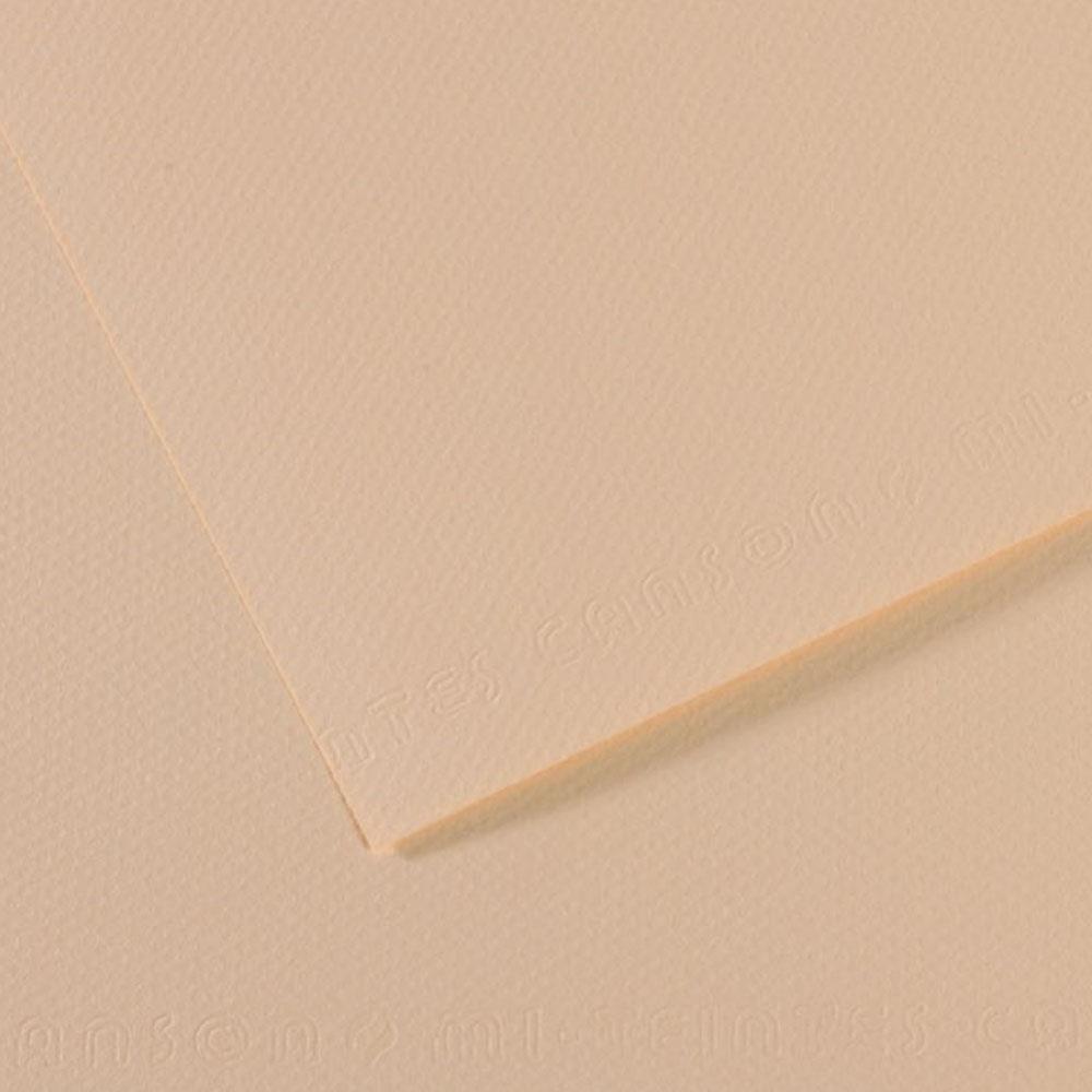 Canson Fon Kartonu (Dokulu) Mı-Teıntes 10 Lu  50x65 160 GR 112 Ylw 31032S093