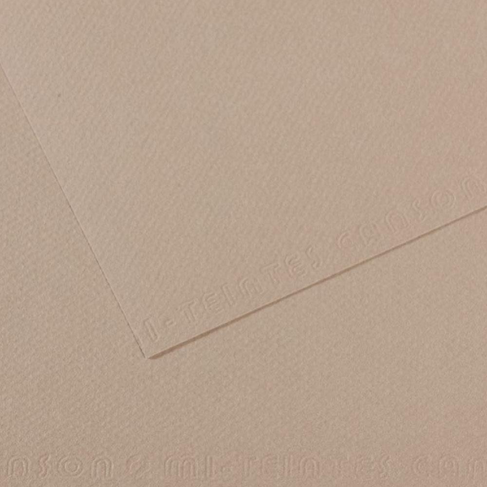 Canson Fon Kartonu (Dokulu) Mı-Teıntes Sh Canmt 50x65 160 GR Grey 122