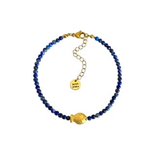 Lacivert Lapis Taşlı Balık Halhal