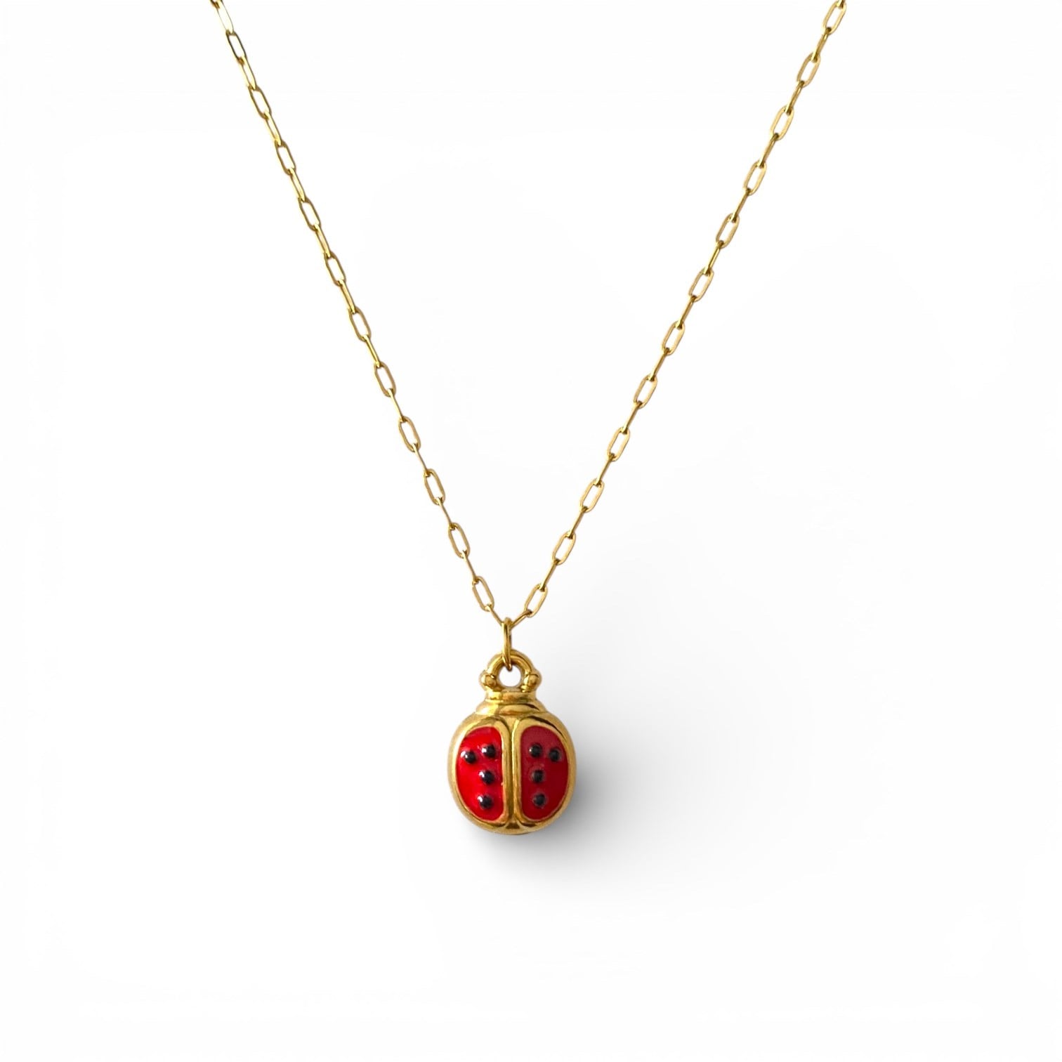 Çelik Uğur Böceği Kolye