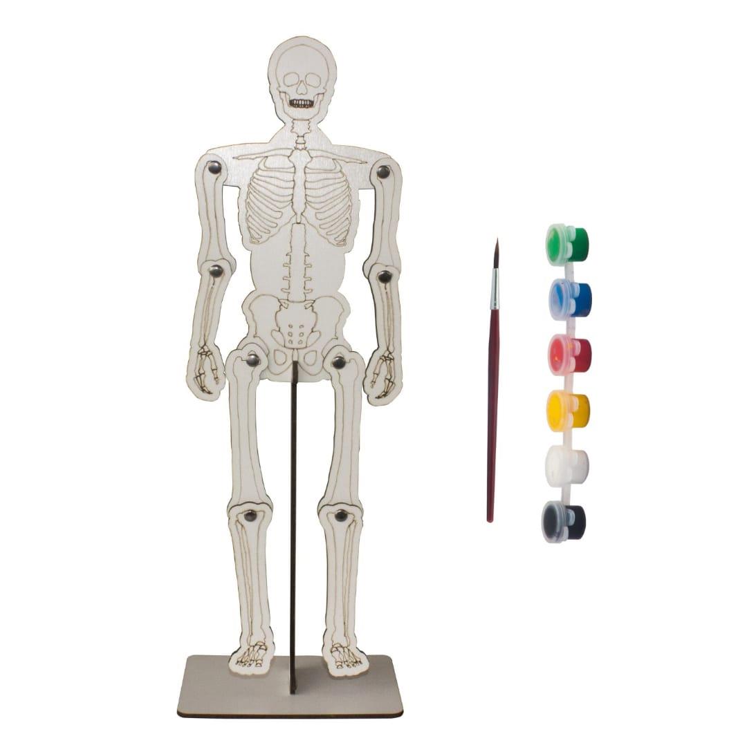 Bebek Özel Ahşap Boyanabilir Maket Oyuncak ve Boyama Seti, Ahşap Puzzle Oyuncak İskelet