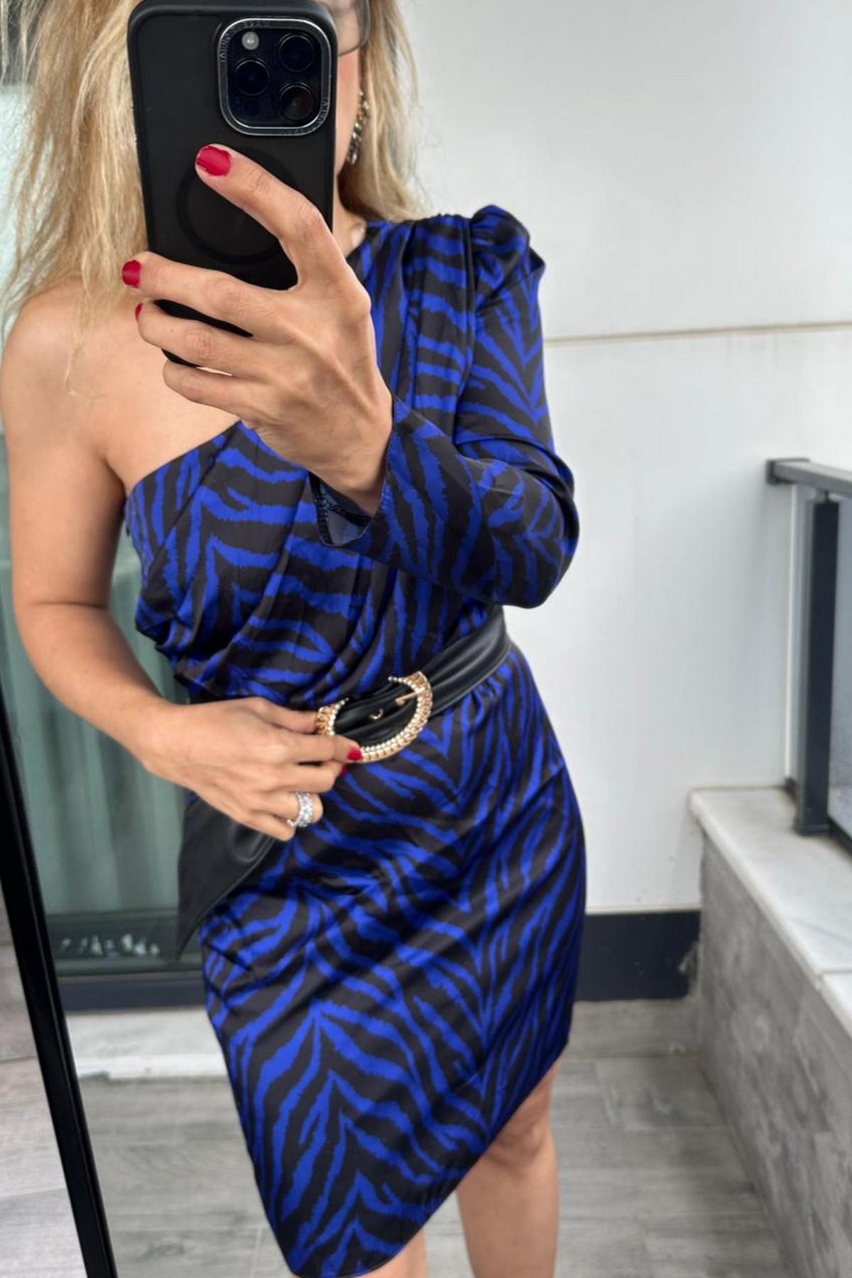 Zebra Desen Elbise 