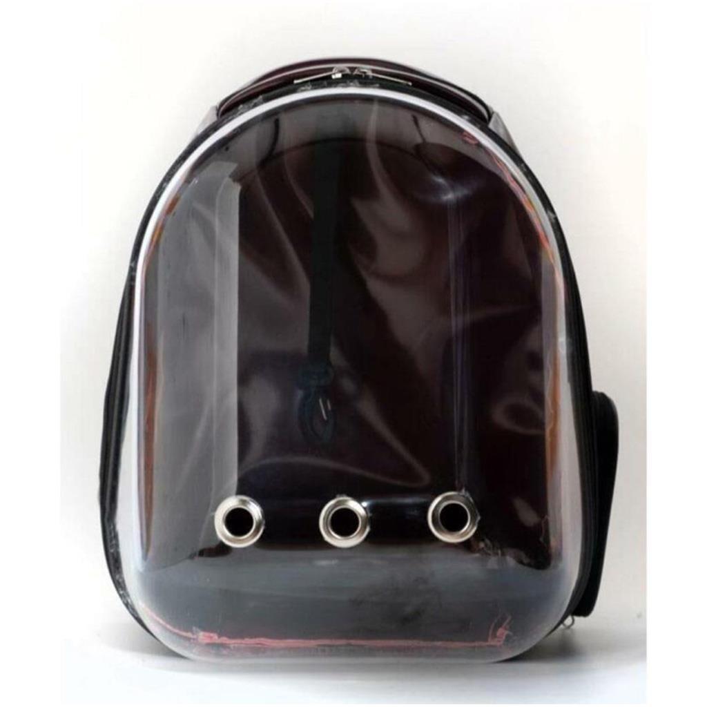 Astronot Şeffaf Çanta