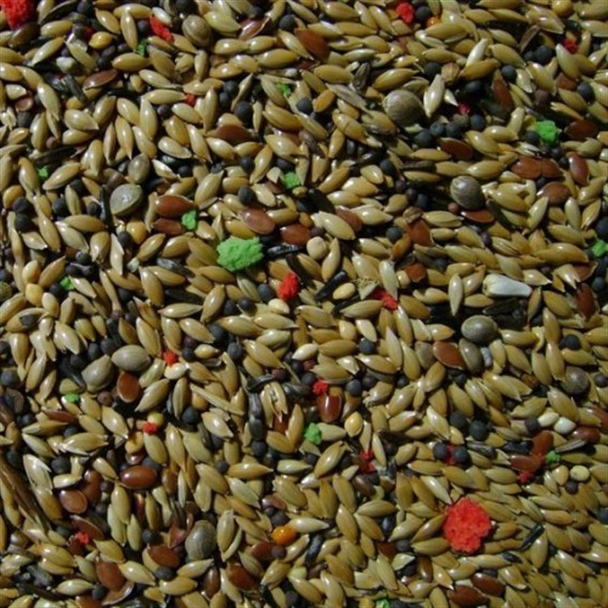 Kanarya Yeni 500 GR
