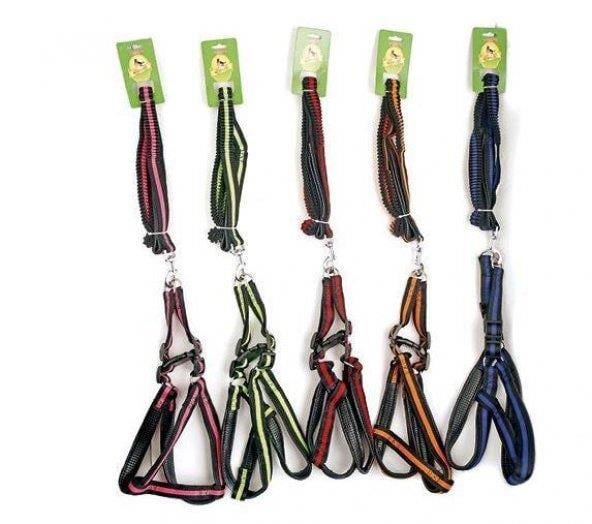 Royalist 201644 Köpek Koşum Seti Royalist 201644 Köpek Koşum Seti 