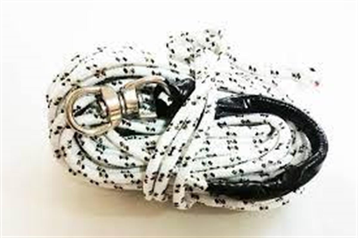 Liman Serpme Atma İpi