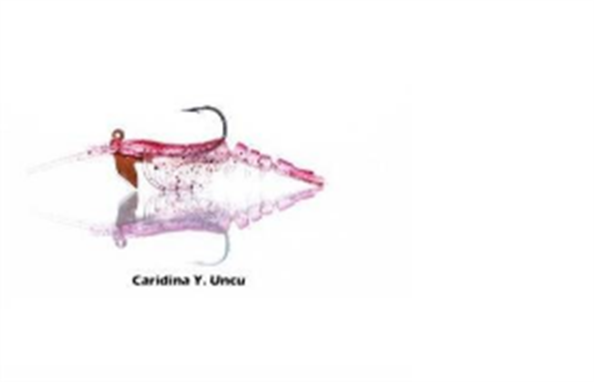 Pandora Silicon Cardina 7.6 mm 6.5 gr Clr:Y.UNCU Sinking