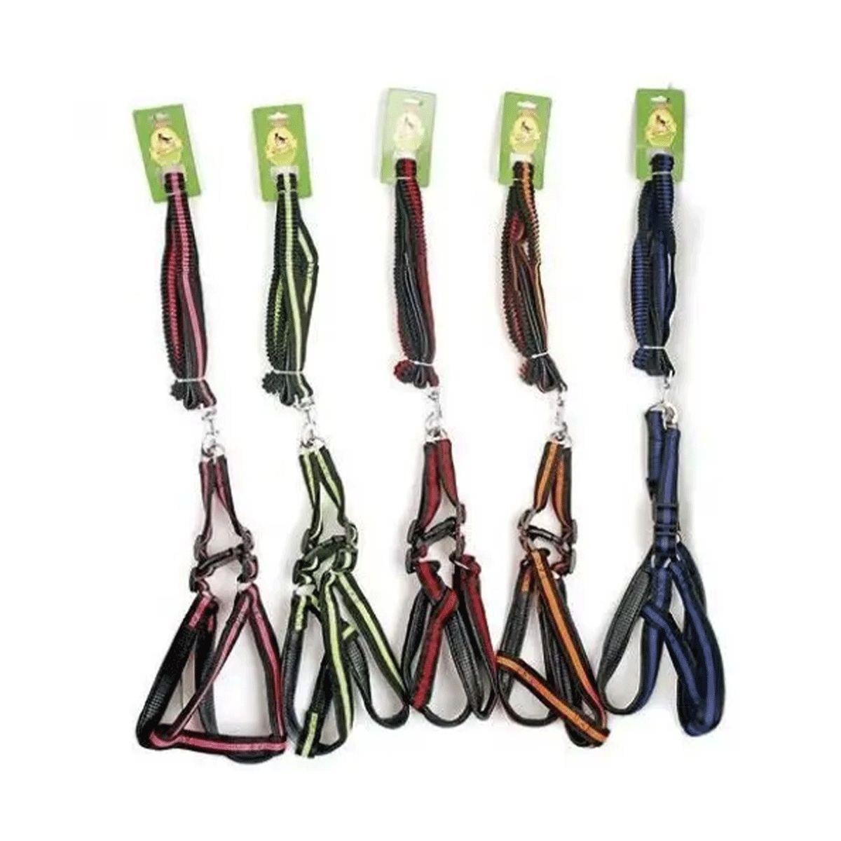 Royalist 2019 1111 Köpek Tasma 