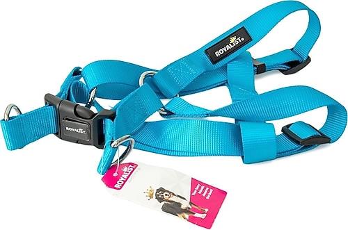 Royalist 2091122 Köpek Tasması 2.50 Cm 