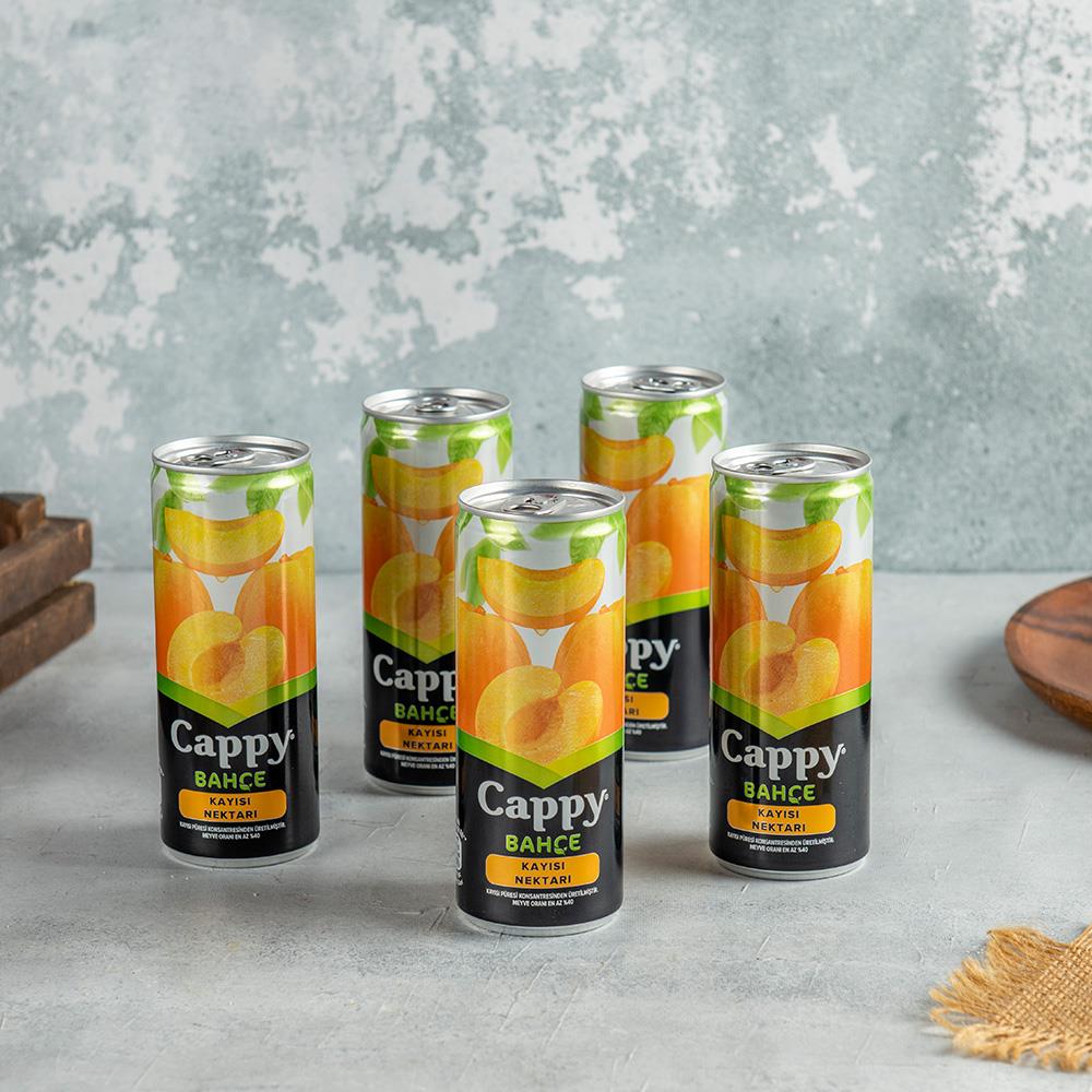 Cappy Bahçe Kayısı