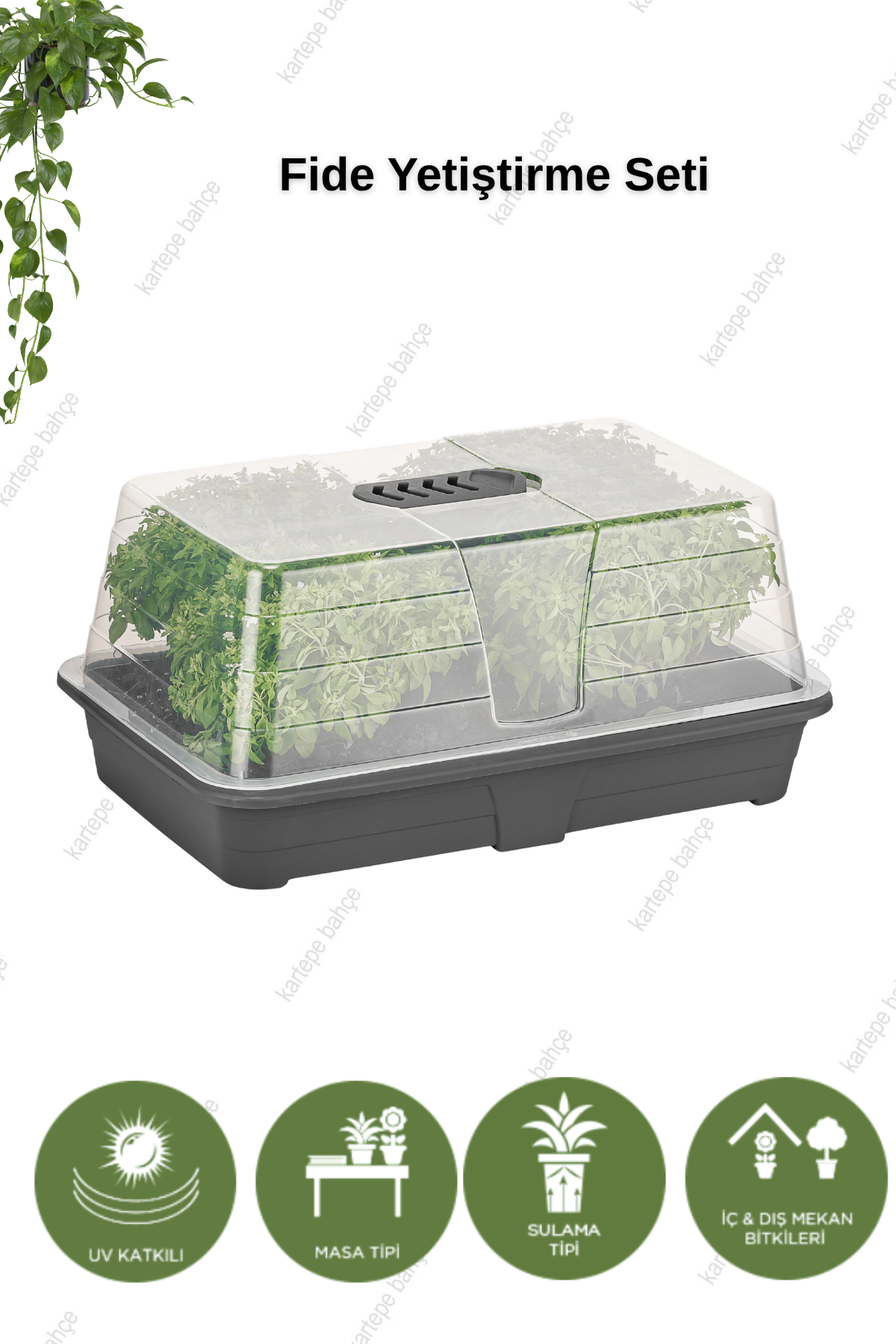 Fide yetiştirme seti 