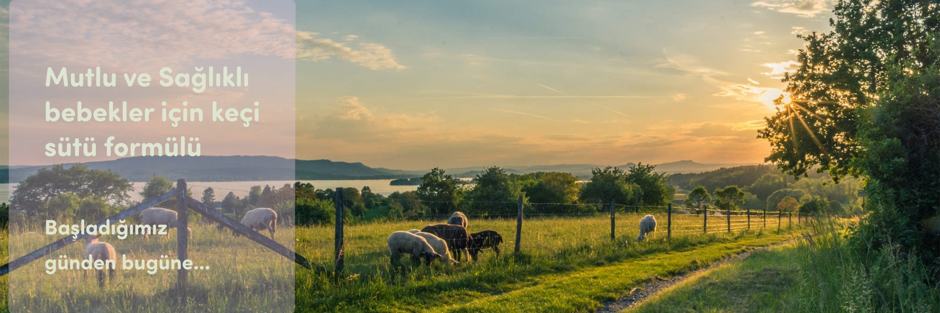 Başladığımız günden bugüne...