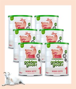 Golden Goat Keçi Devam Sütü 1 Numara 400 gr 6'lı Paket