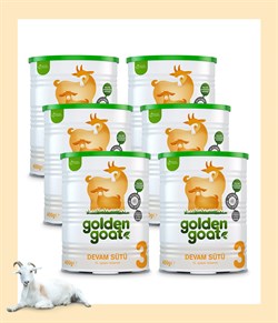 Golden Goat Keçi Devam Sütü 3 Numara 400 gr 6'lı Paket