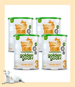 Golden Goat Keçi Devam Sütü 3 Numara 400 gr 4'lü Paket