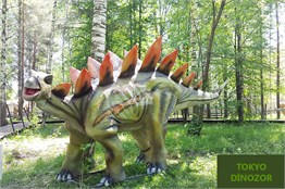 Stegosaurus Hareketli Gerçek Dinozor Maketi 6m