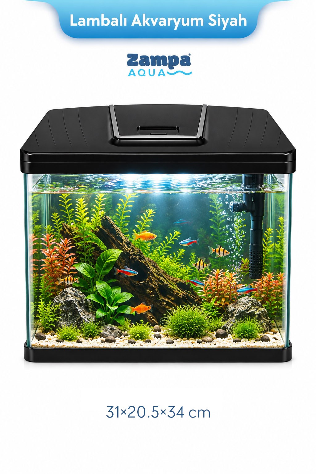 Zampa AQUA Jingming Akvaryum Siyah 310×205×340 mm