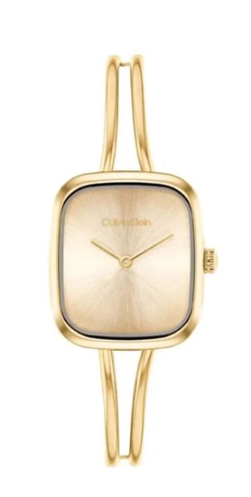 CALVIN KLEIN CK25100132