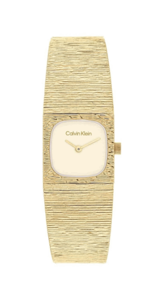 CALVIN KLEIN CK25100178
