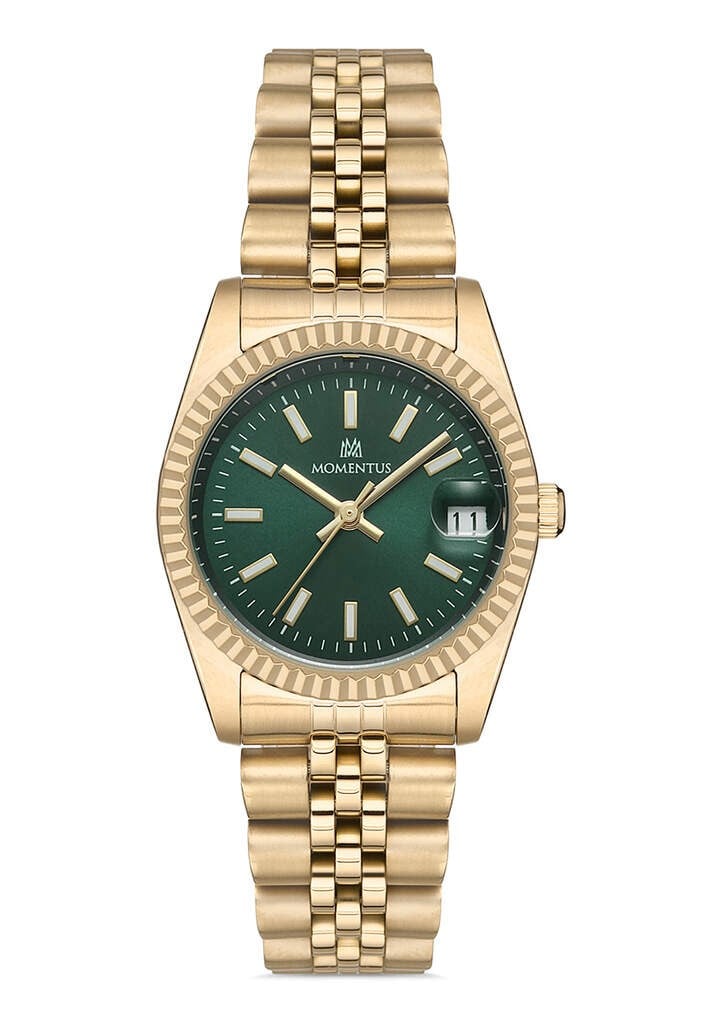 MOMENTUS CW132G-15SG ERKEK KOL SAATİ
