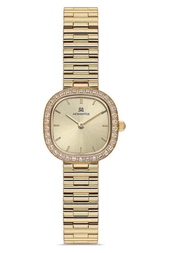 MOMENTUS SW296G-08SG