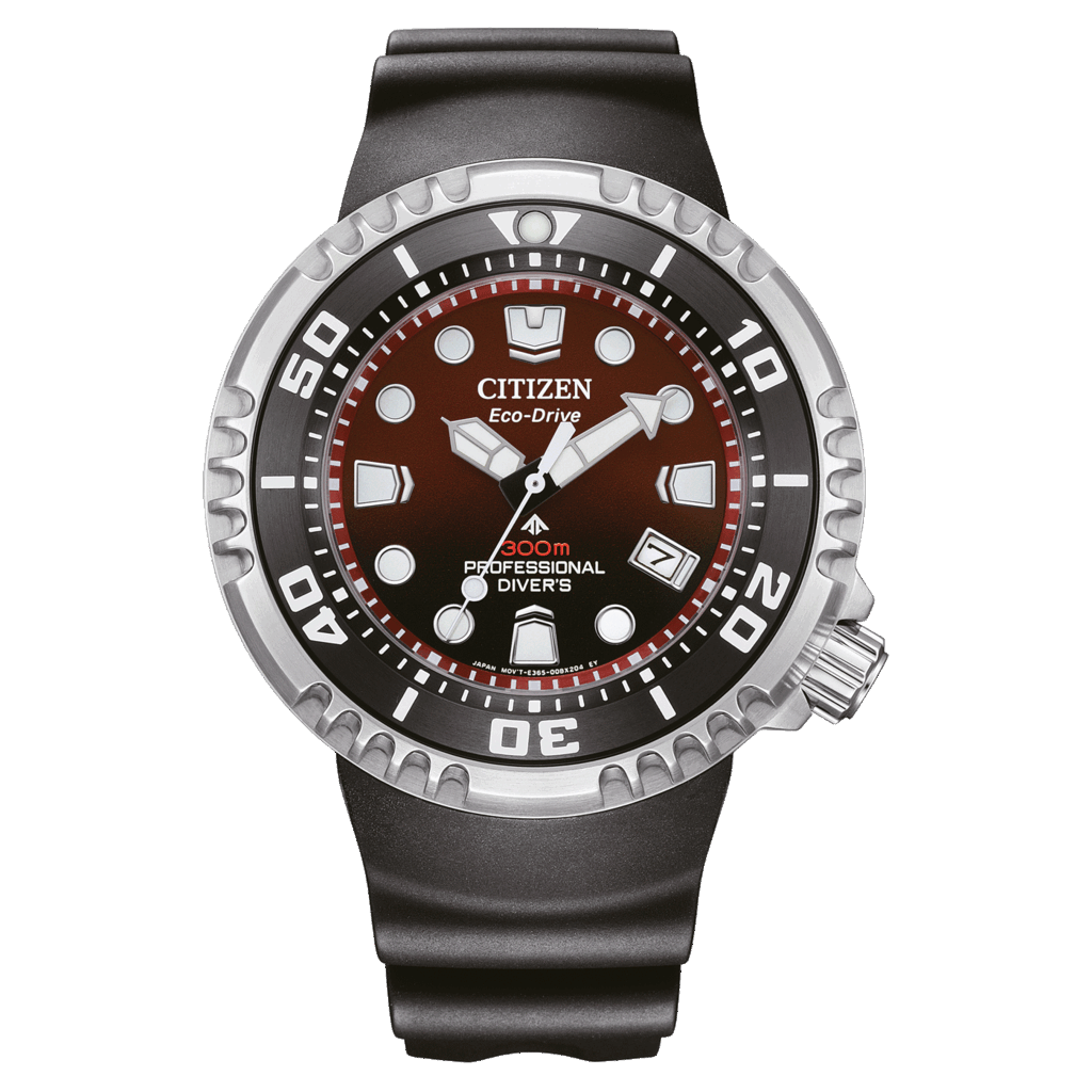 CITIZEN BN1024-01Z
