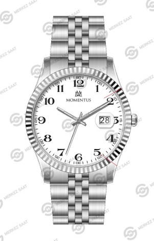 MOMENTUS CM131S-01SS ERKEK KOL SAATİ