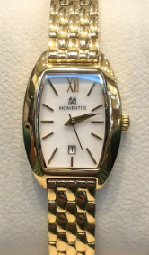 MOMENTUS CW310G-09SG