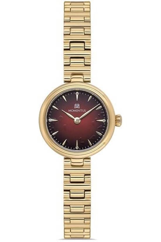 MOMENTUS CW313G-14SG