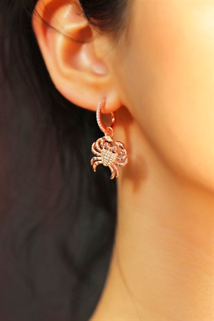 ÇİFTLİ, YENGEÇ FİGÜRLÜ GÜMÜŞ KÜPE