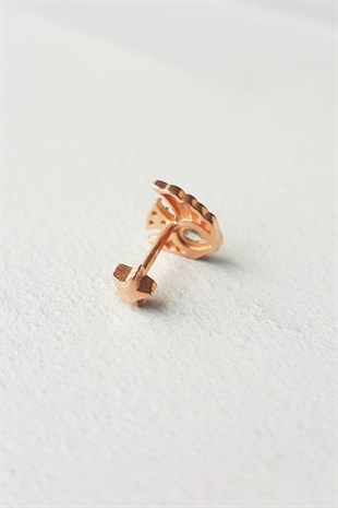 FISH MODEL GÜMÜŞ PİERCİNG