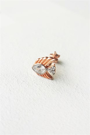 FISH MODEL GÜMÜŞ PİERCİNG