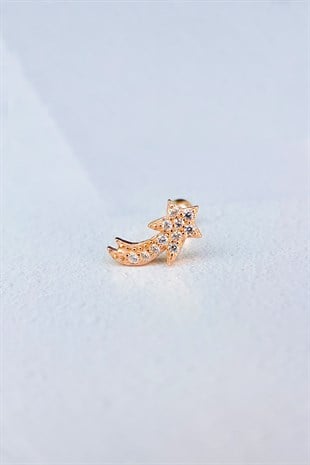 Imported Aries Silver Piercing Earrings