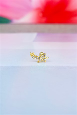 Imported Aries Silver Piercing Earrings