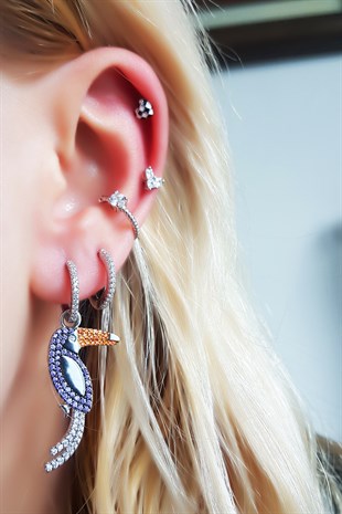 İTHAL EŞLİ PARROT PAPAĞAN MOR GÜMÜŞ KÜPE