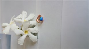 İthal  Opal Kalp Figür Gümüş Tragus Küpe