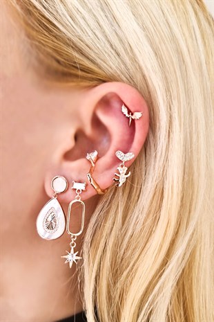 Silver Cartilage Earrings with Heart Stones and Heart Figures