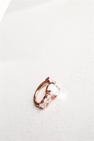 TINY ZIRCON STONE BEETLE SILVER EARRINGS