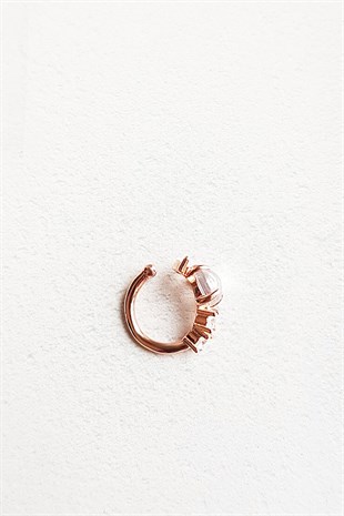 TINY ZIRCON STONE BEETLE SILVER EARRINGS
