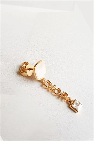 Tekli Ithal D Taşlı Gümüş Küpe