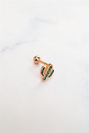 TEKLİ İTHAL KAKTÜS GÜMÜŞ PİERCİNG KÜPE