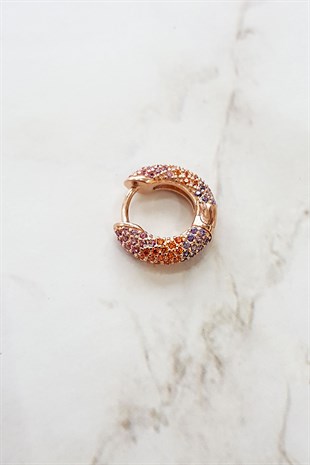 TEKLİ İTHAL RENKLİ TAŞLI GÜMÜŞ KÜPE